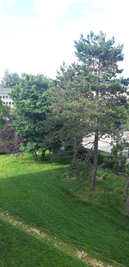 Jiyara F3 Proche Centre Ville Belfort Luaran gambar